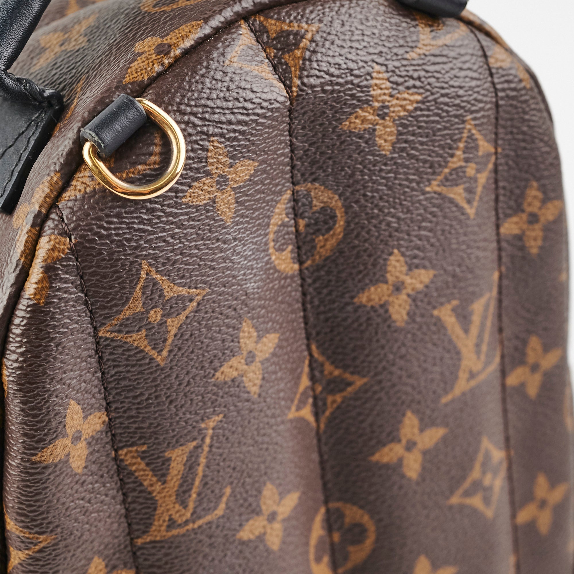 Louis Vuitton Palm Springs Mini Monogram