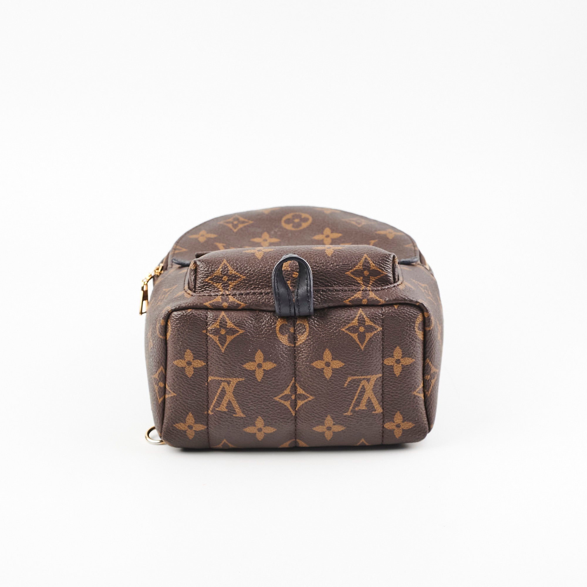Louis Vuitton Palm Springs Mini Monogram