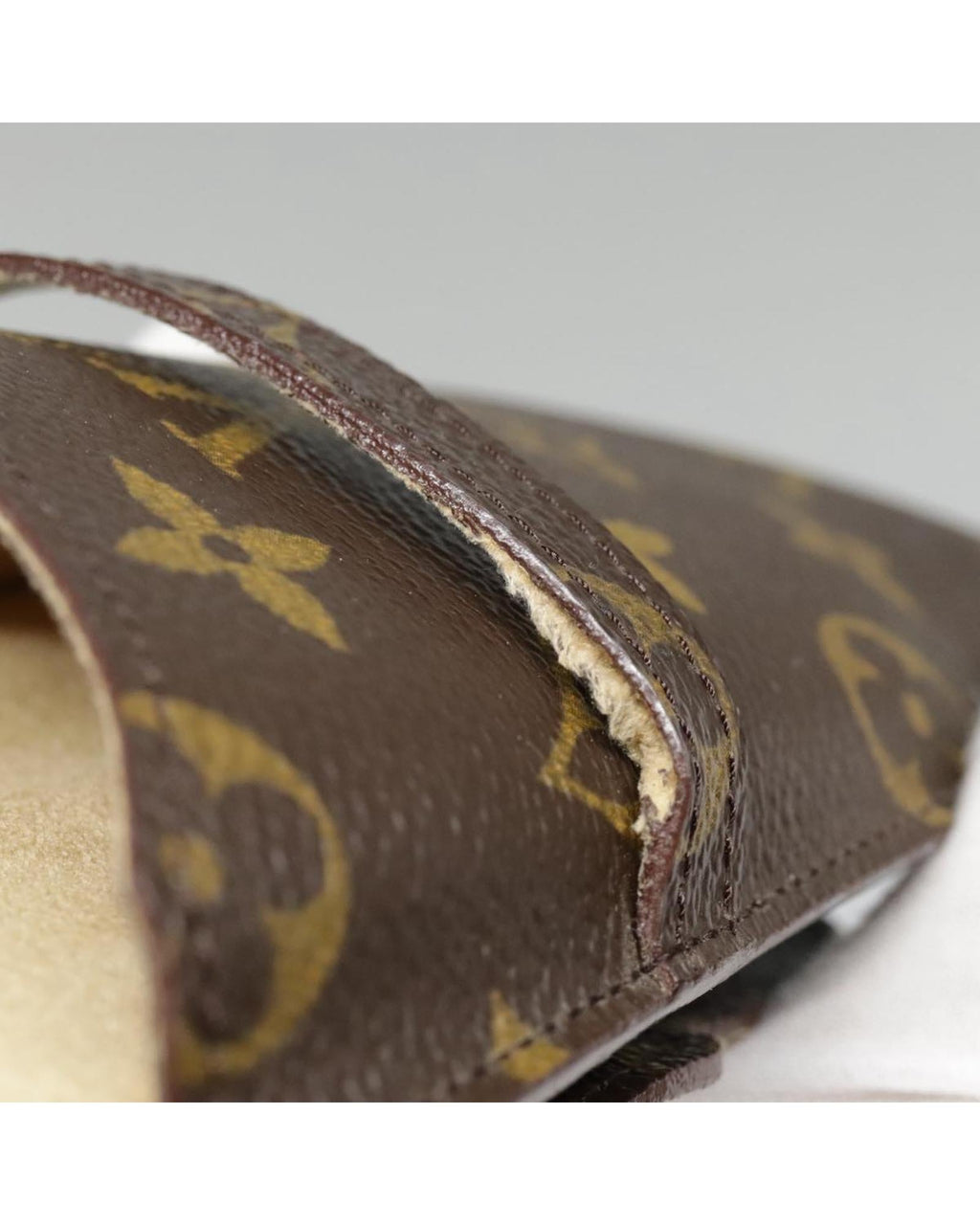 Monogram Canvas Glasses Case