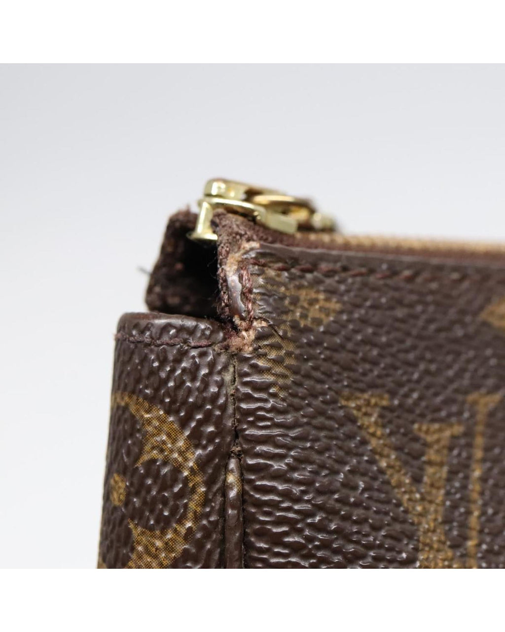 Monogram Canvas Pochette Accessoires Pouch