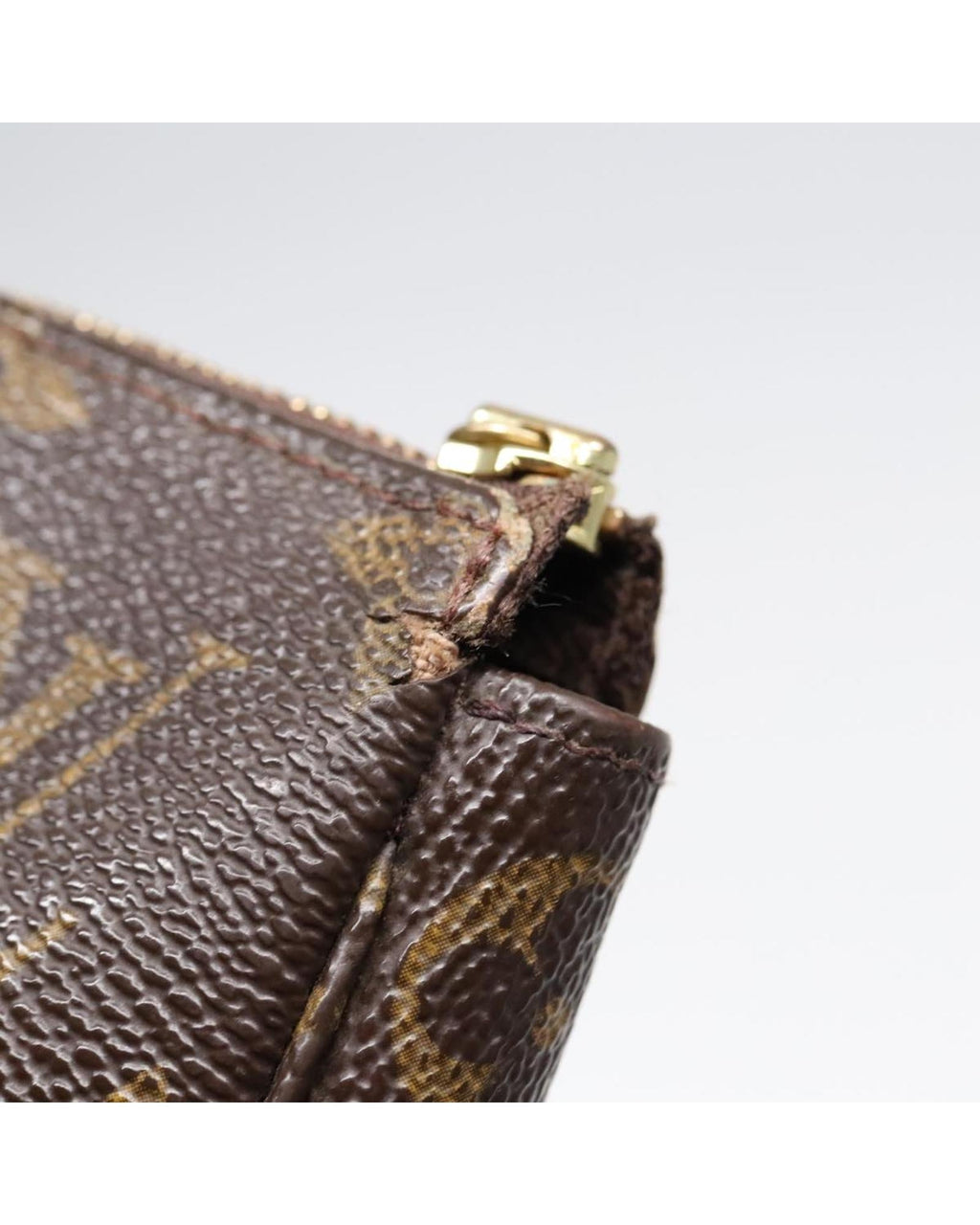 Monogram Canvas Pochette Accessoires Pouch