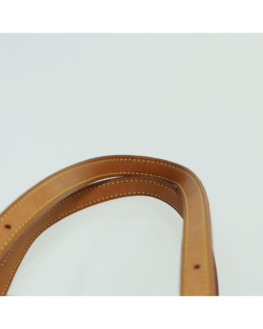 Monogram Vernis Bucket PM Shoulder Bag