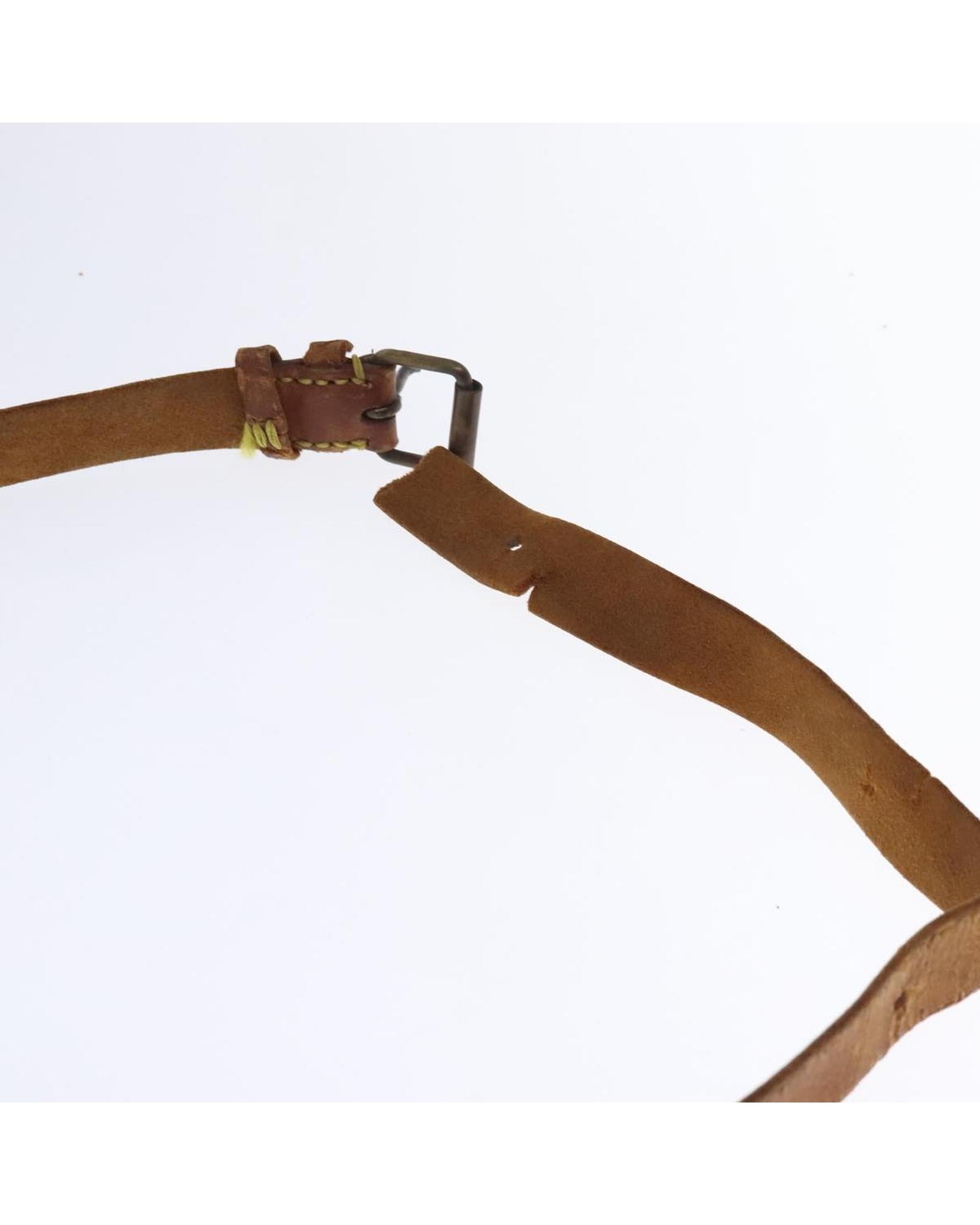 Monogram Cartouchiere MM Shoulder Bag