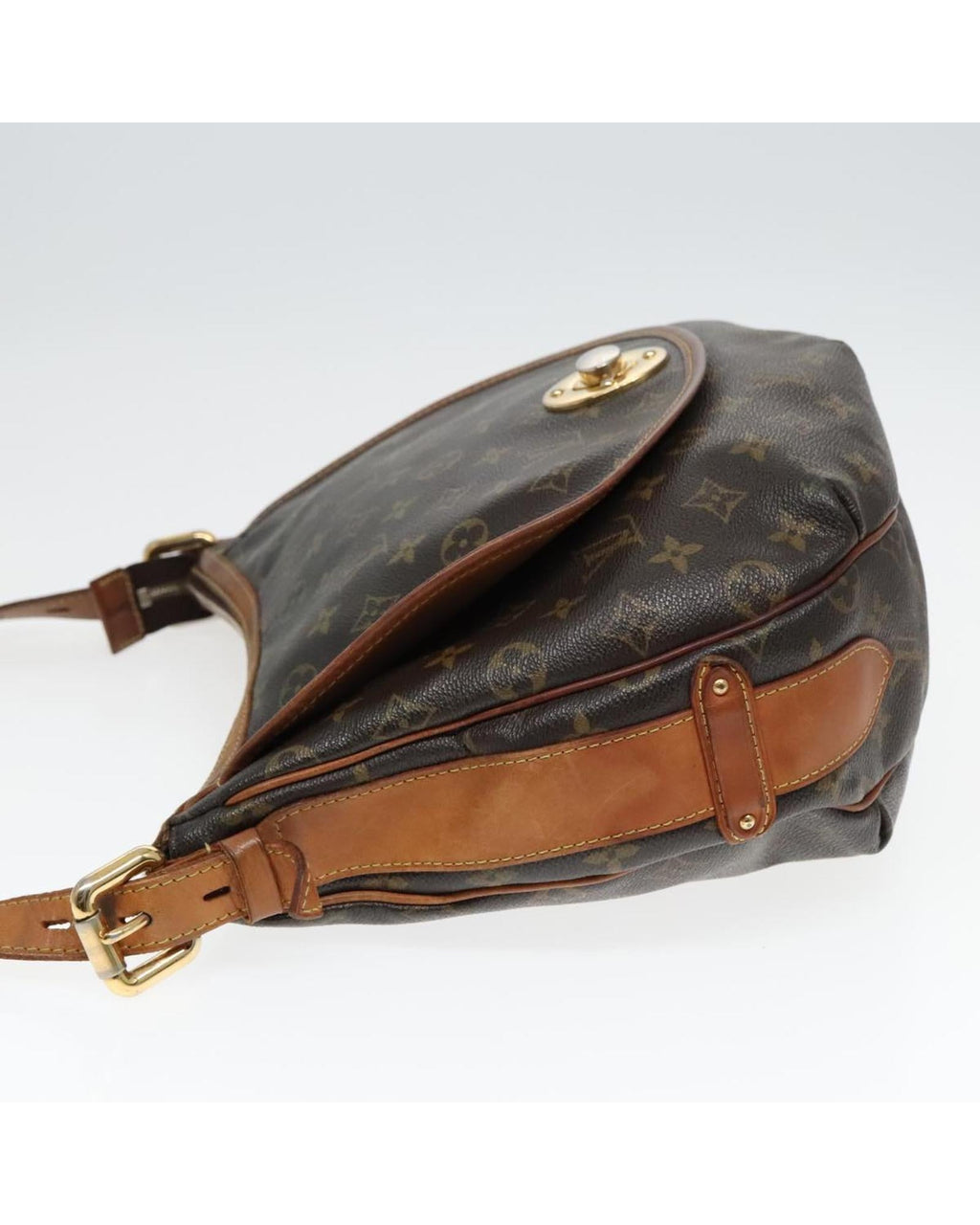 Monogram Tolum PM Shoulder Bag