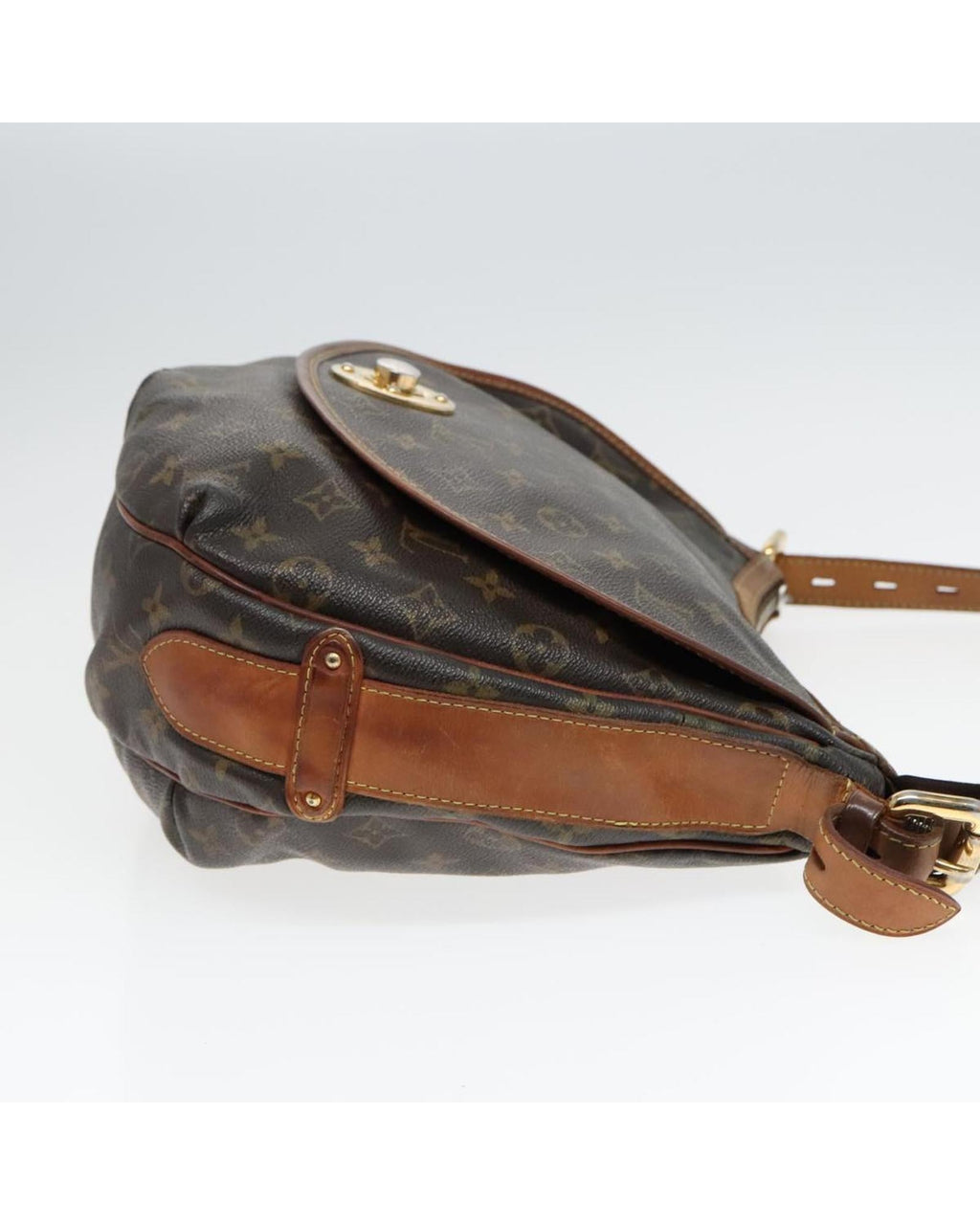 Monogram Tolum PM Shoulder Bag