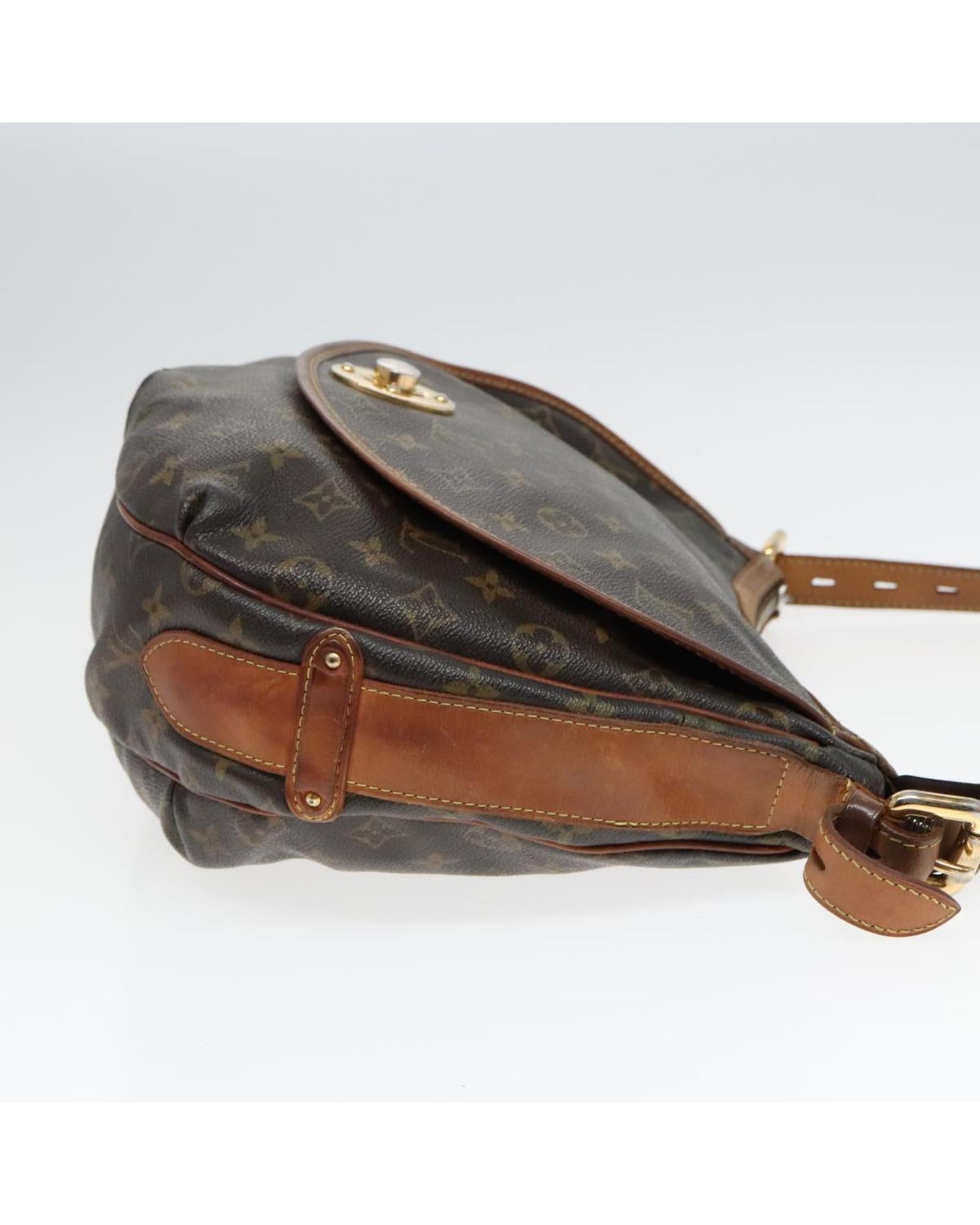 Monogram Tolum PM Shoulder Bag