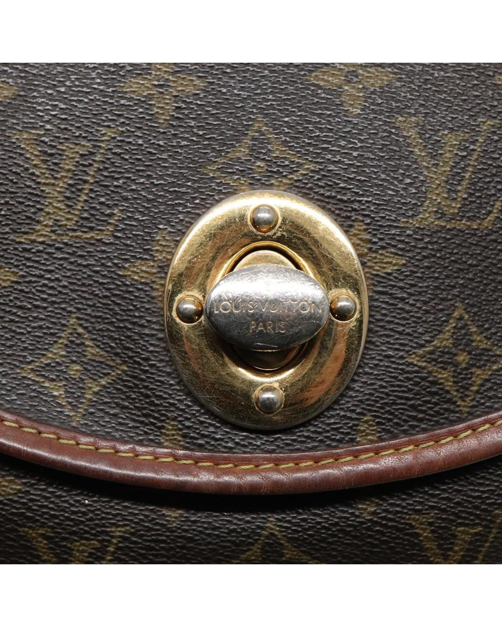 Monogram Tolum PM Shoulder Bag