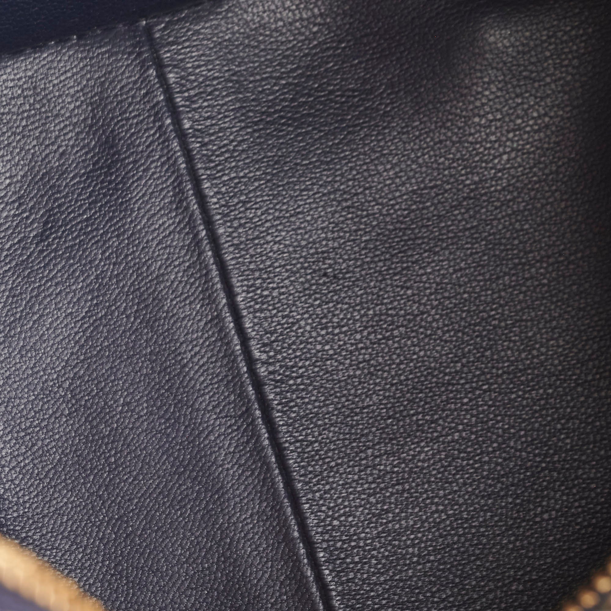 Louis Vuitton Python Neo Square Bag