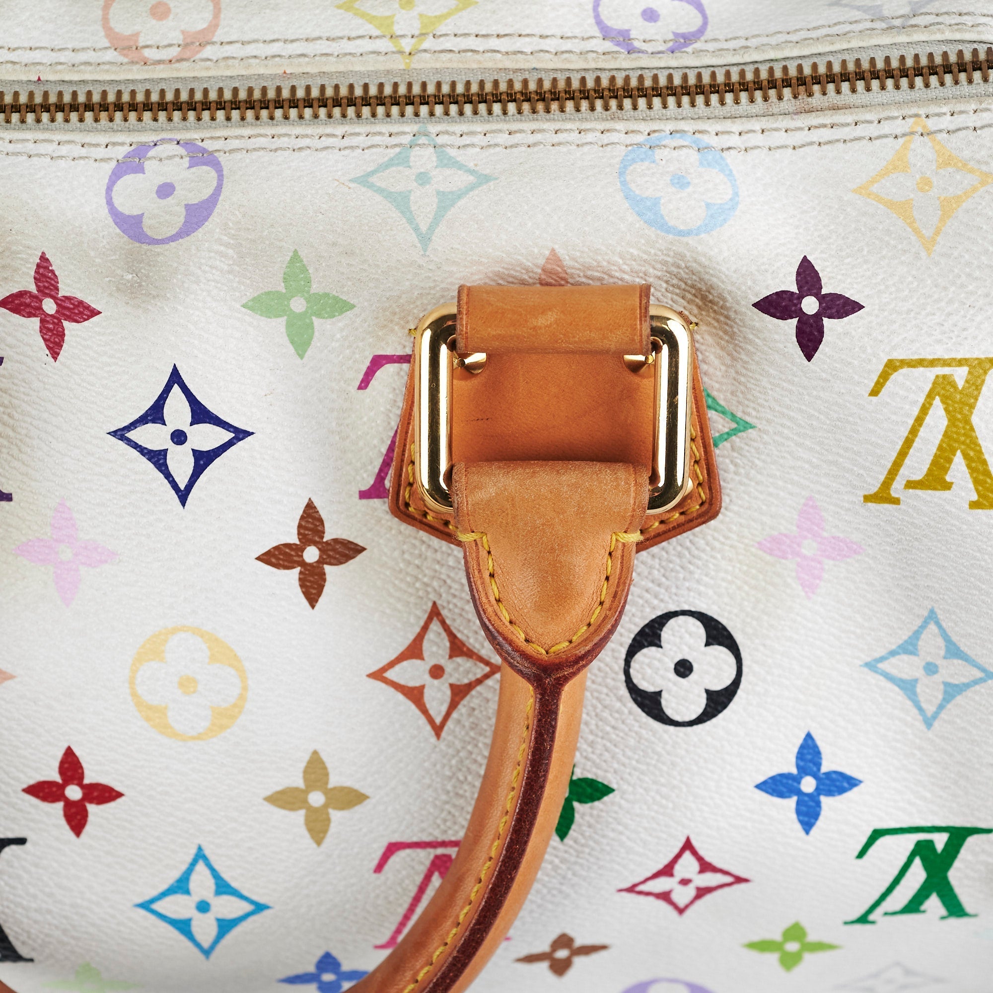 Louis Vuitton Multicolour Speedy 30