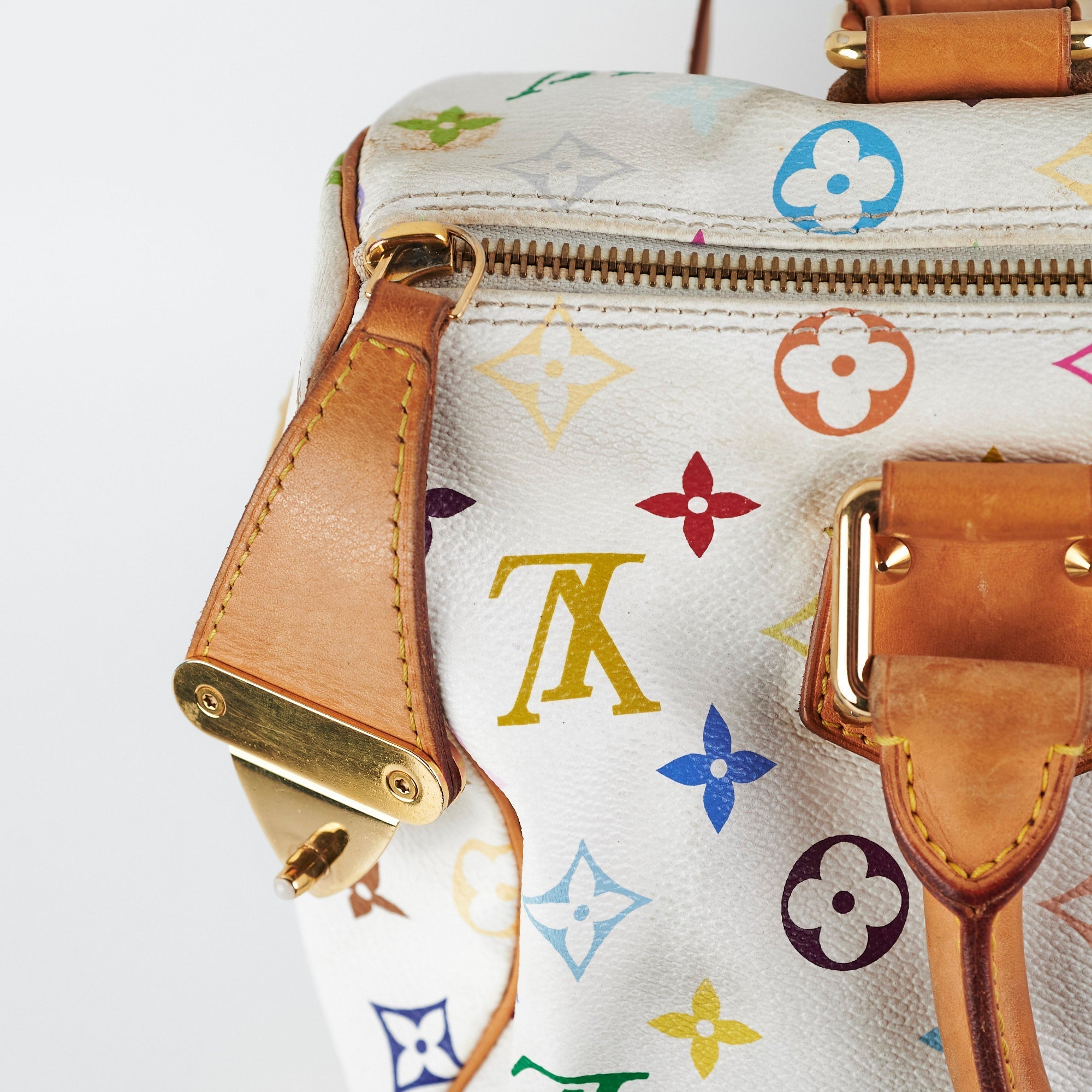 Louis Vuitton Multicolour Speedy 30