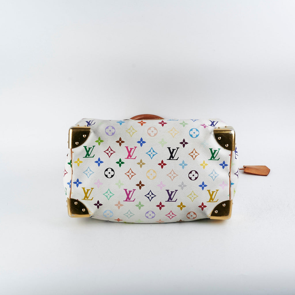 Louis Vuitton Multicolour Speedy 30