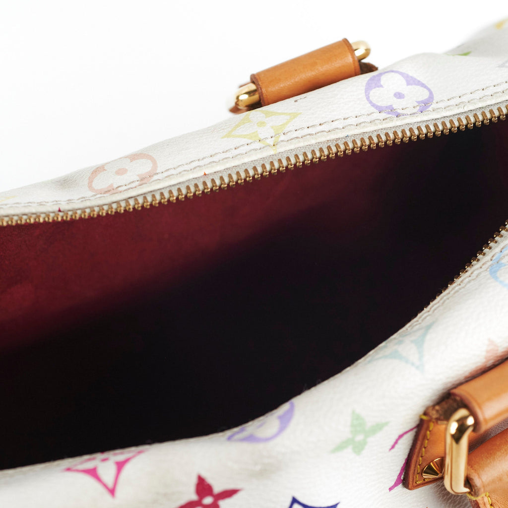 Louis Vuitton Multicolour Speedy 30