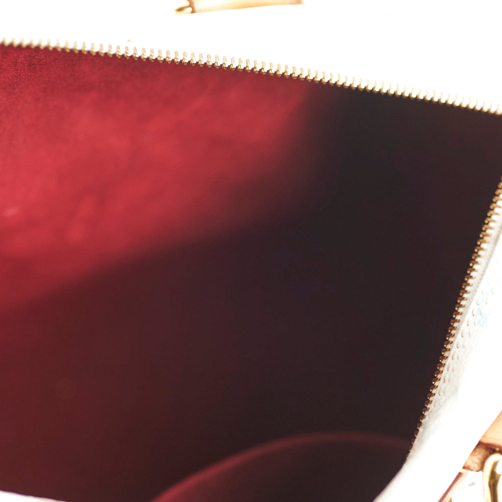 Louis Vuitton Multicolour Speedy 30