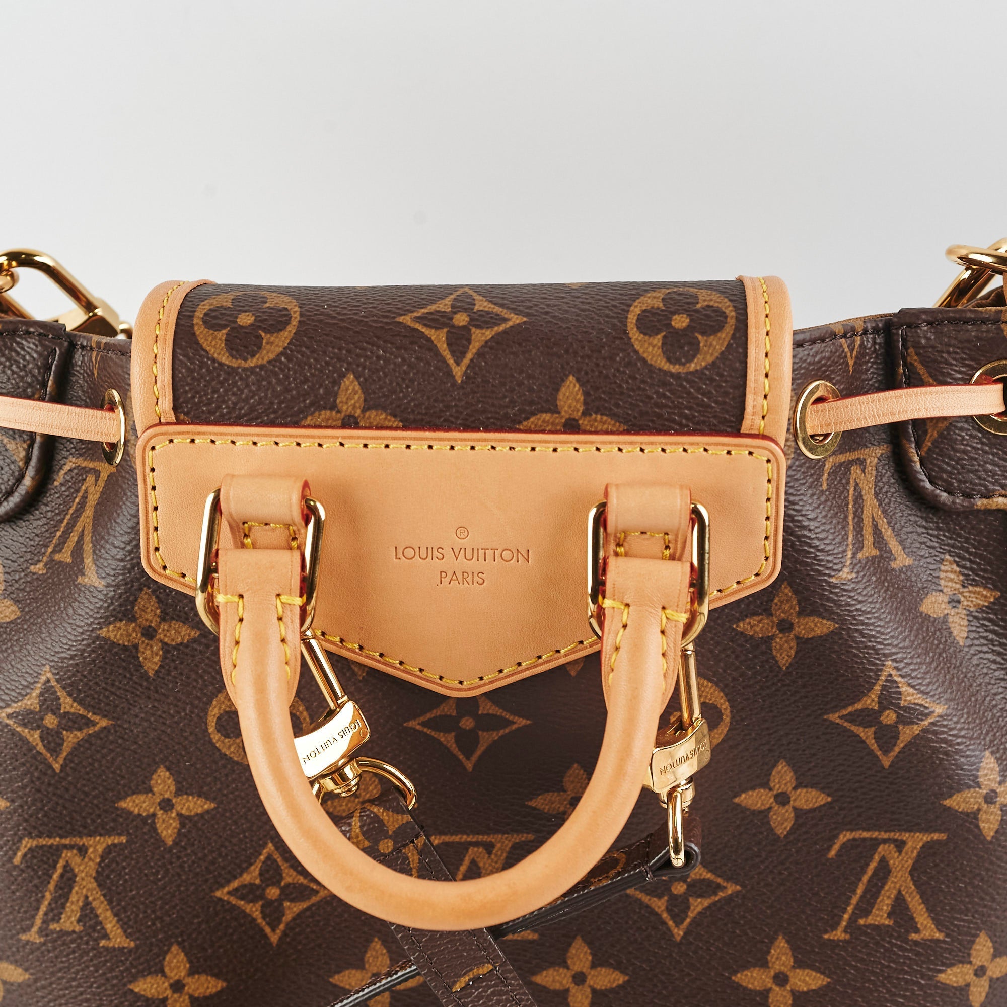 Louis Vuitton Excursion PM Monogram Backpack