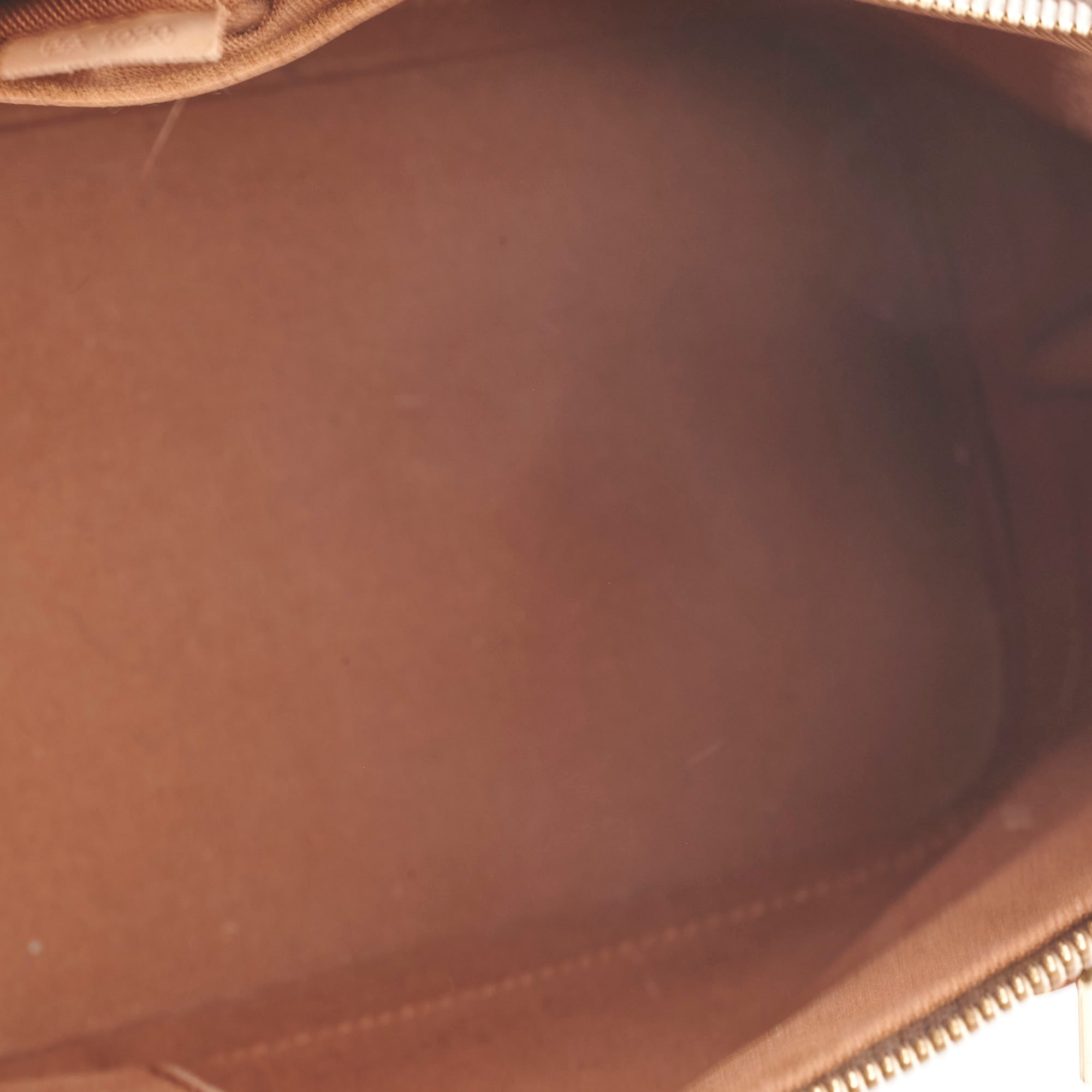Louis Vuitton Alma PM Monogram