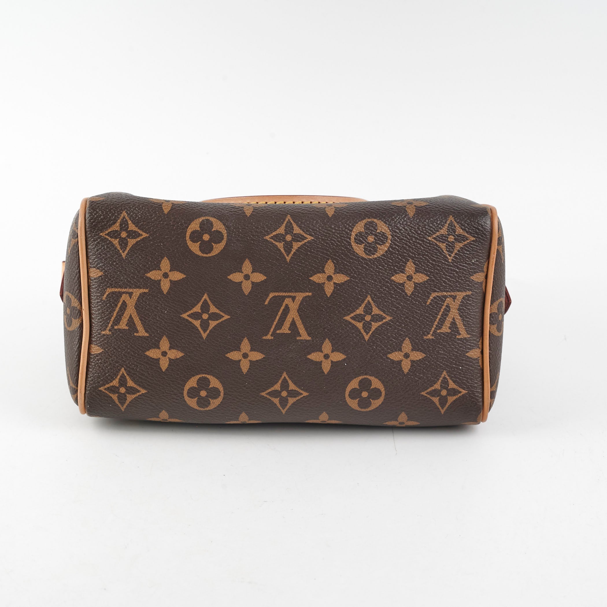 Louis Vuitton Speedy 20 Monogram