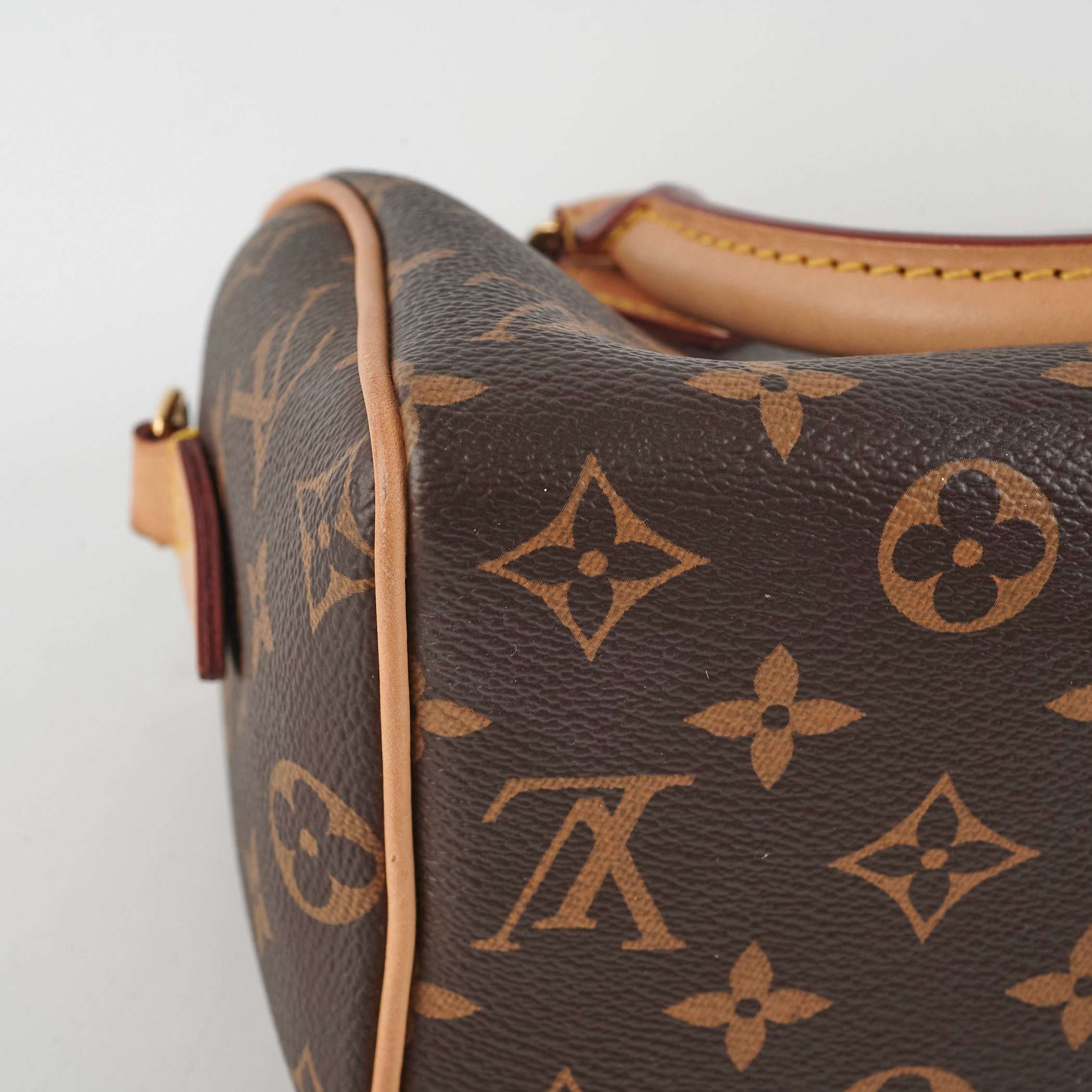Louis Vuitton Speedy 20 Monogram