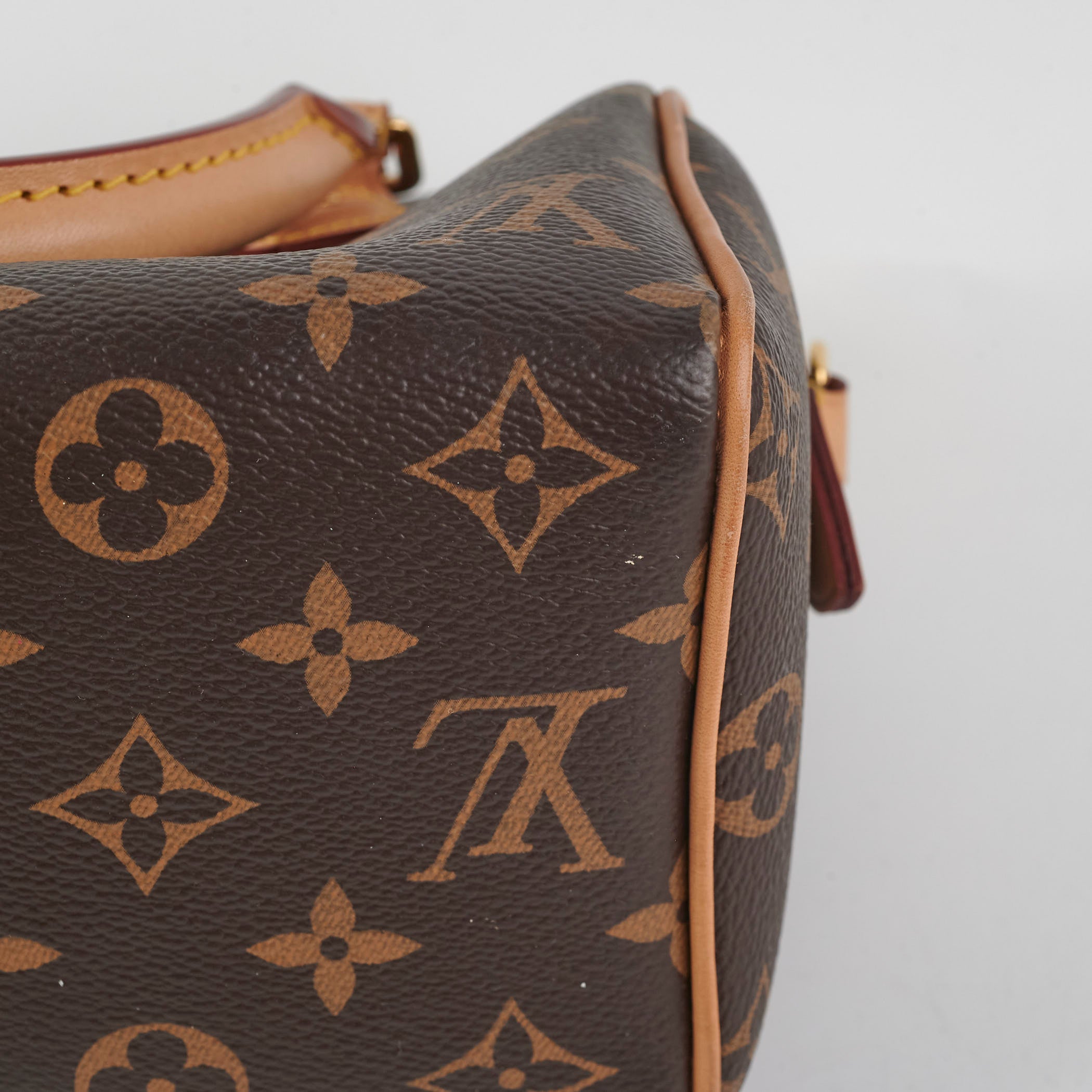 Louis Vuitton Speedy 20 Monogram