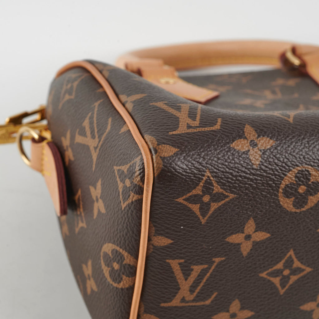 Louis Vuitton Speedy 20 Monogram