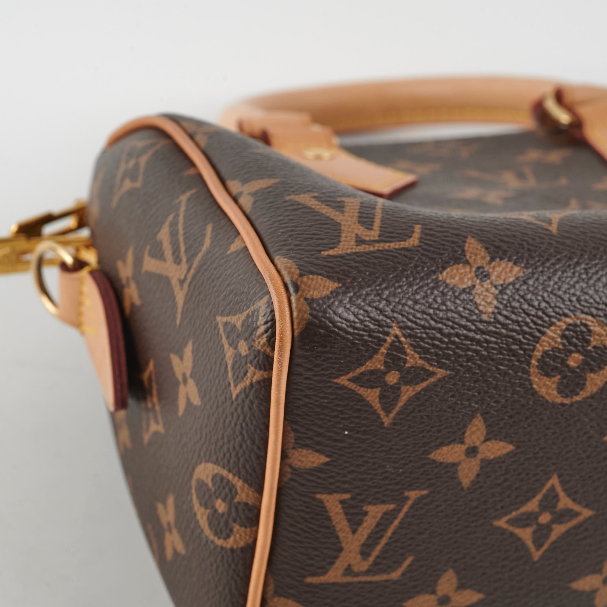 Louis Vuitton Speedy 20 Monogram