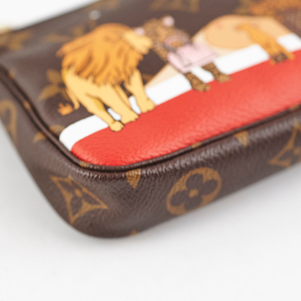 Louis Vuitton Limited Edition Mini Pochette