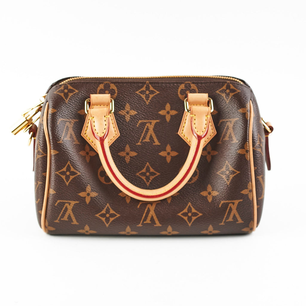 Louis Vuitton Speedy 20 Monogram