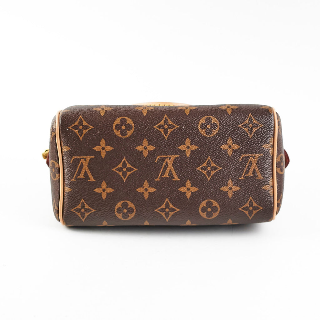 Louis Vuitton Speedy 20 Monogram