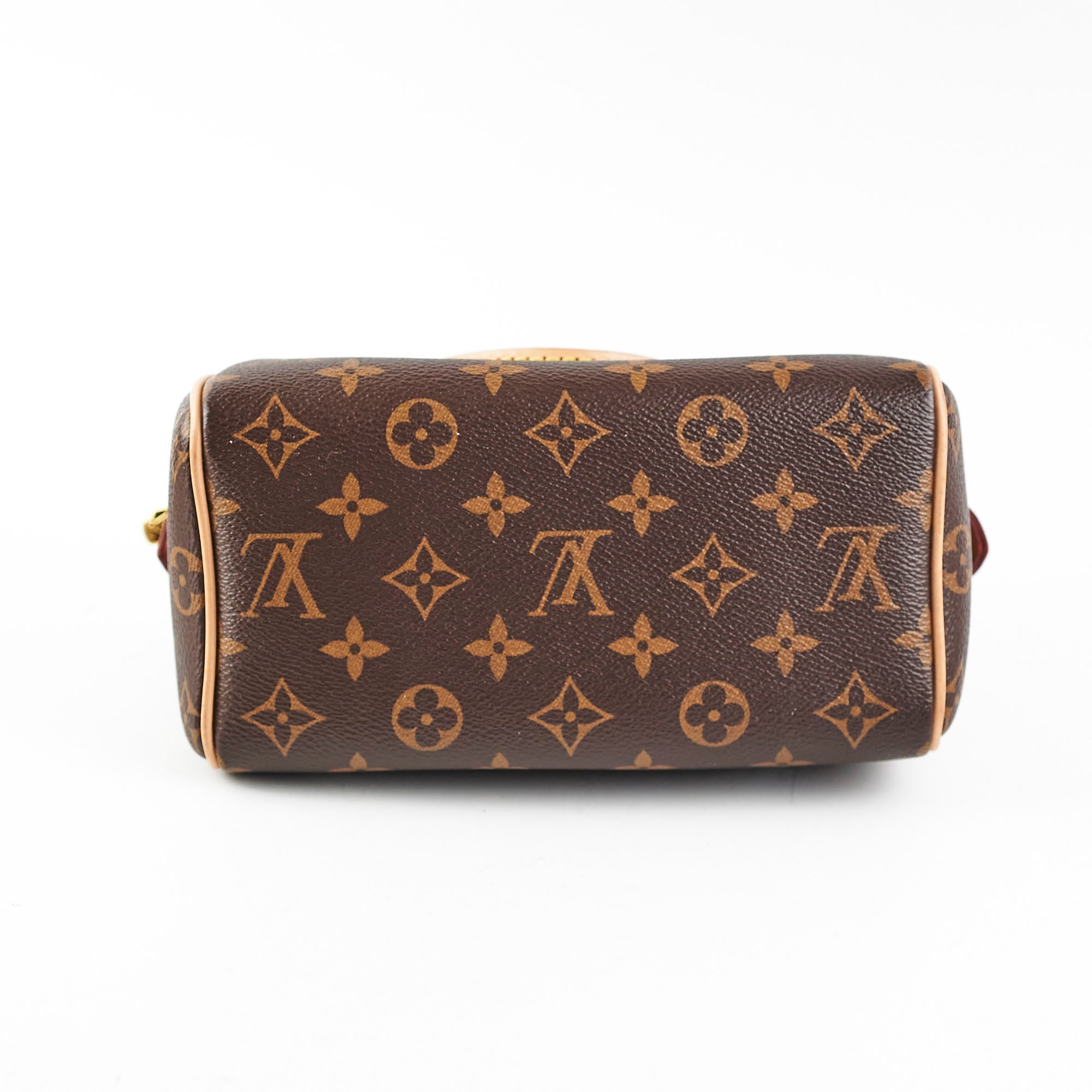 Louis Vuitton Speedy 20 Monogram