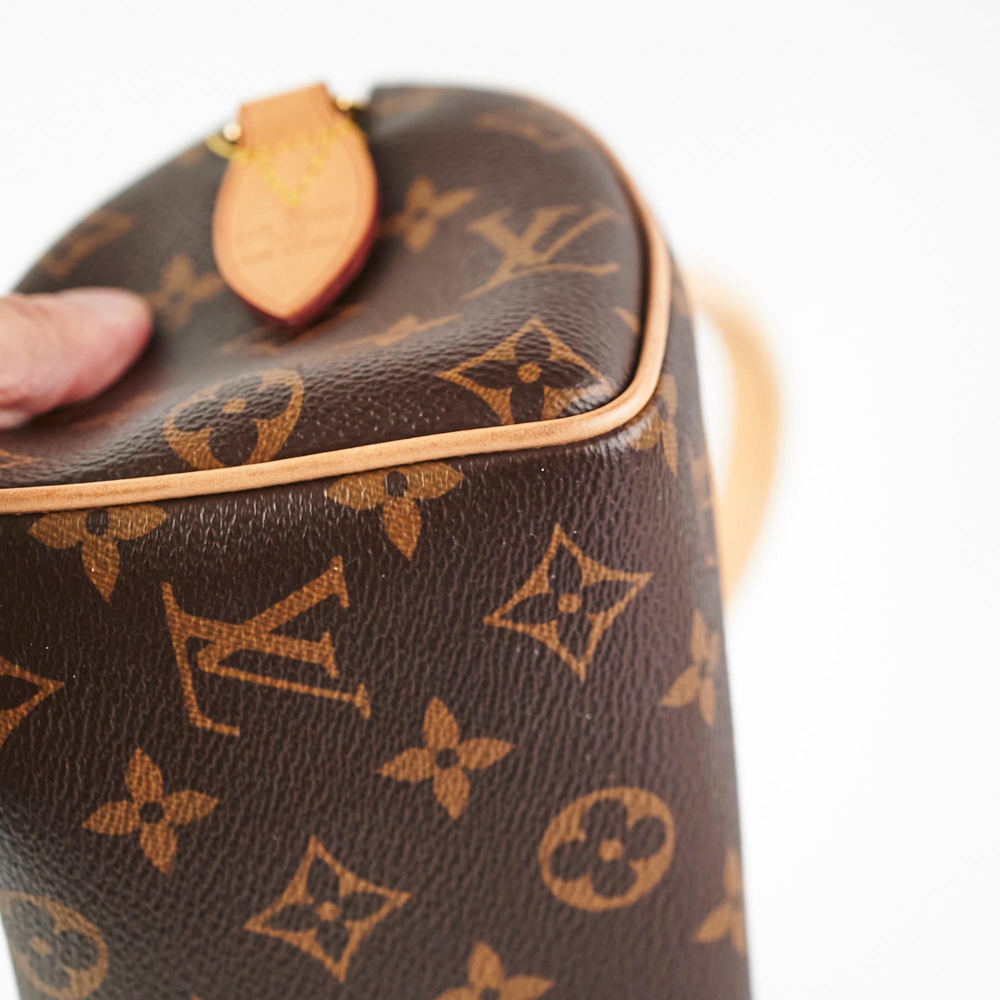 Louis Vuitton Speedy 20 Monogram