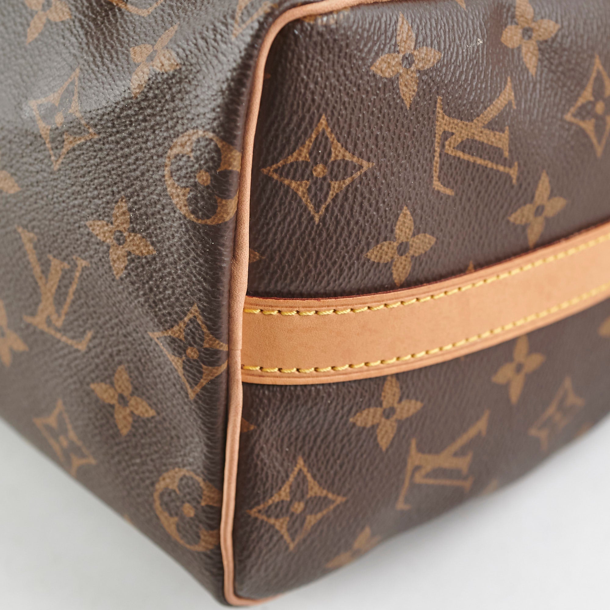 Louis Vuitton Speedy 25 Bandouliere Monogram