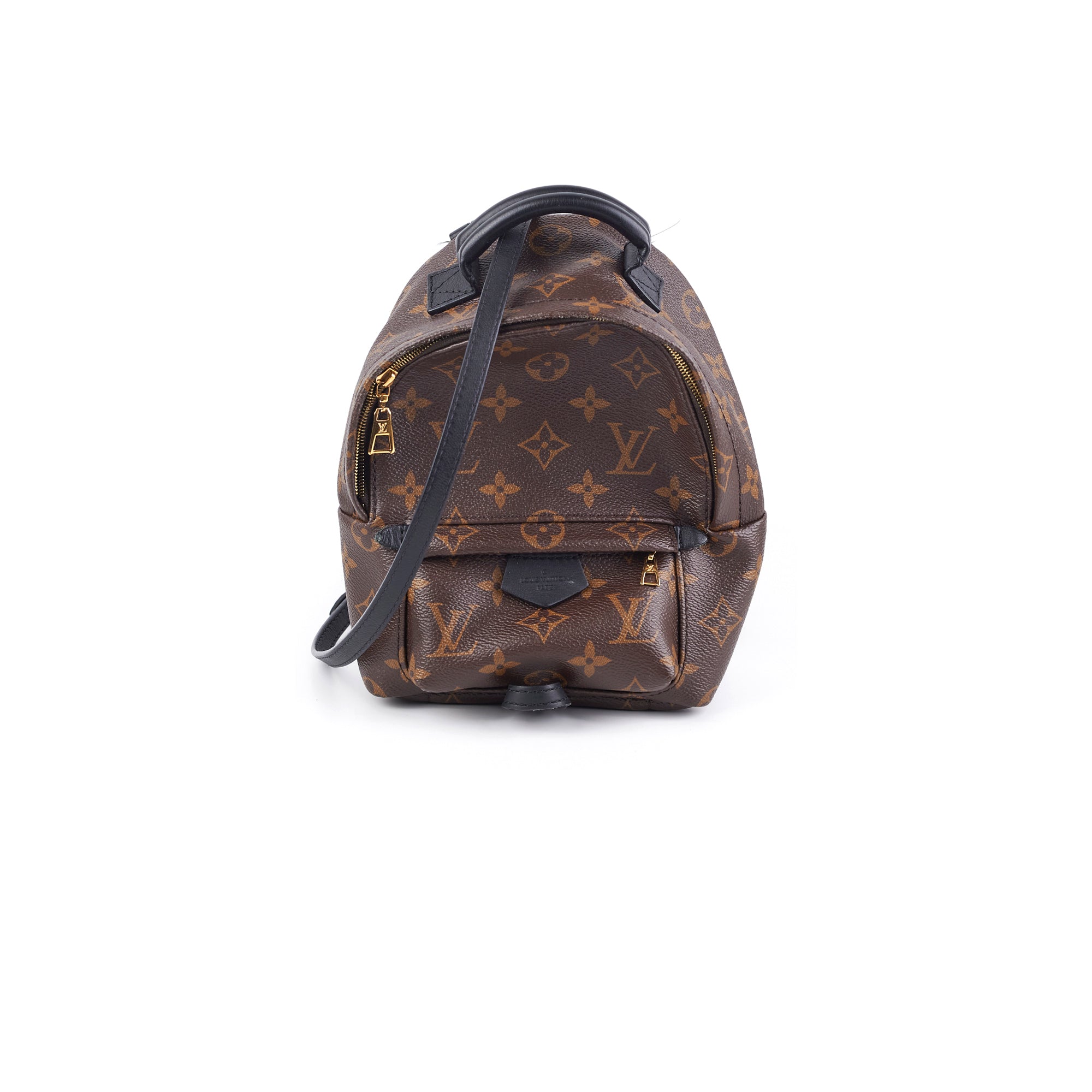 Louis Vuitton Palm Spring Mini Monogram