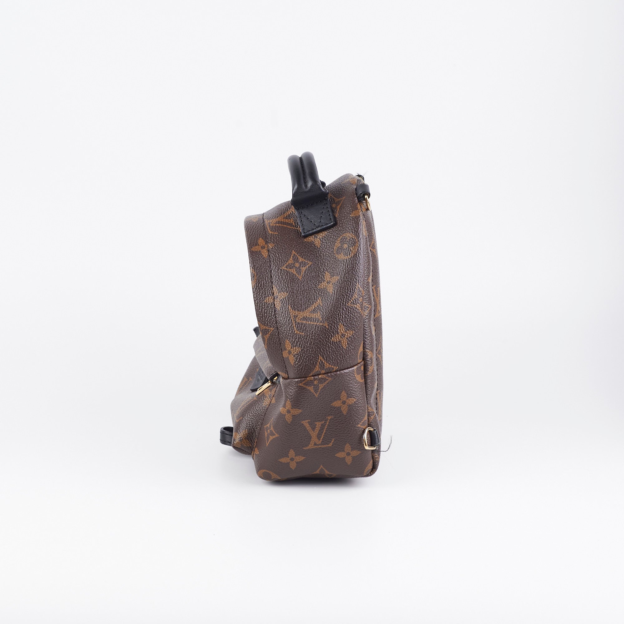 Louis Vuitton Palm Spring Mini Monogram
