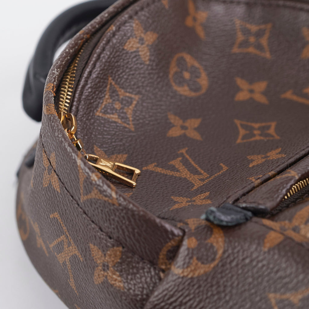 Louis Vuitton Palm Spring Mini Monogram