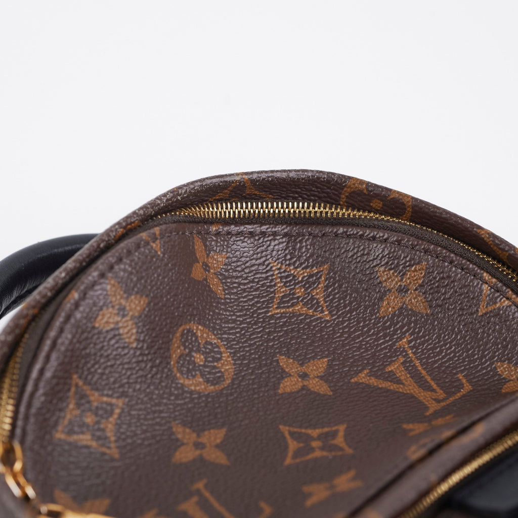 Louis Vuitton Palm Spring Mini Monogram