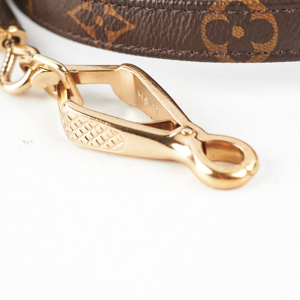 Louis Vuitton Dog Leash Monogram