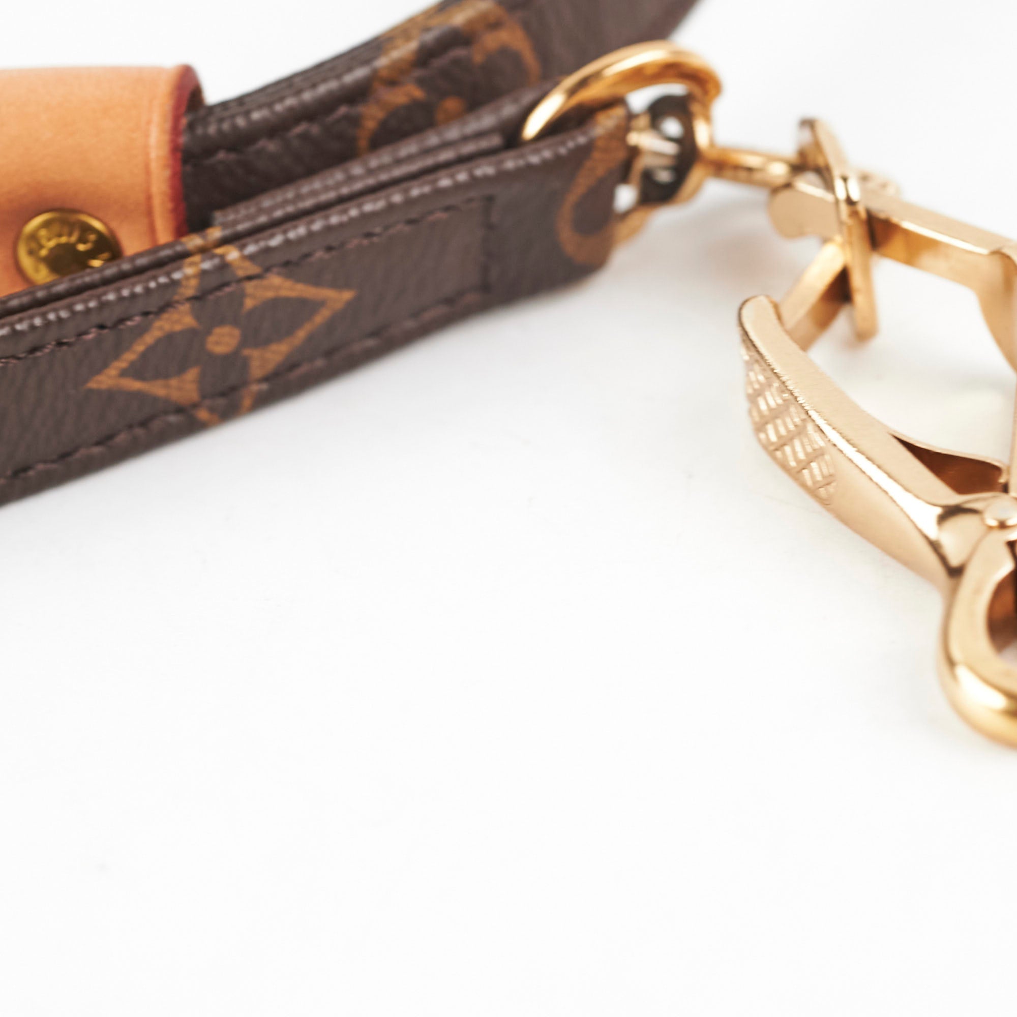 Louis Vuitton Dog Leash Monogram