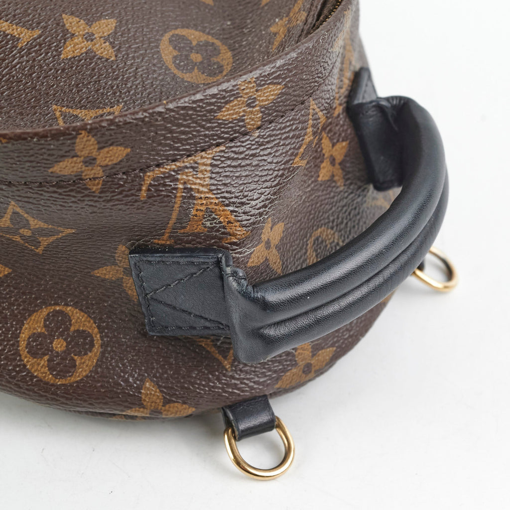 Louis Vuitton Mini Palm Spring Backpack Monogram