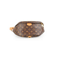 Louis Vuitton Bumbag Monogram