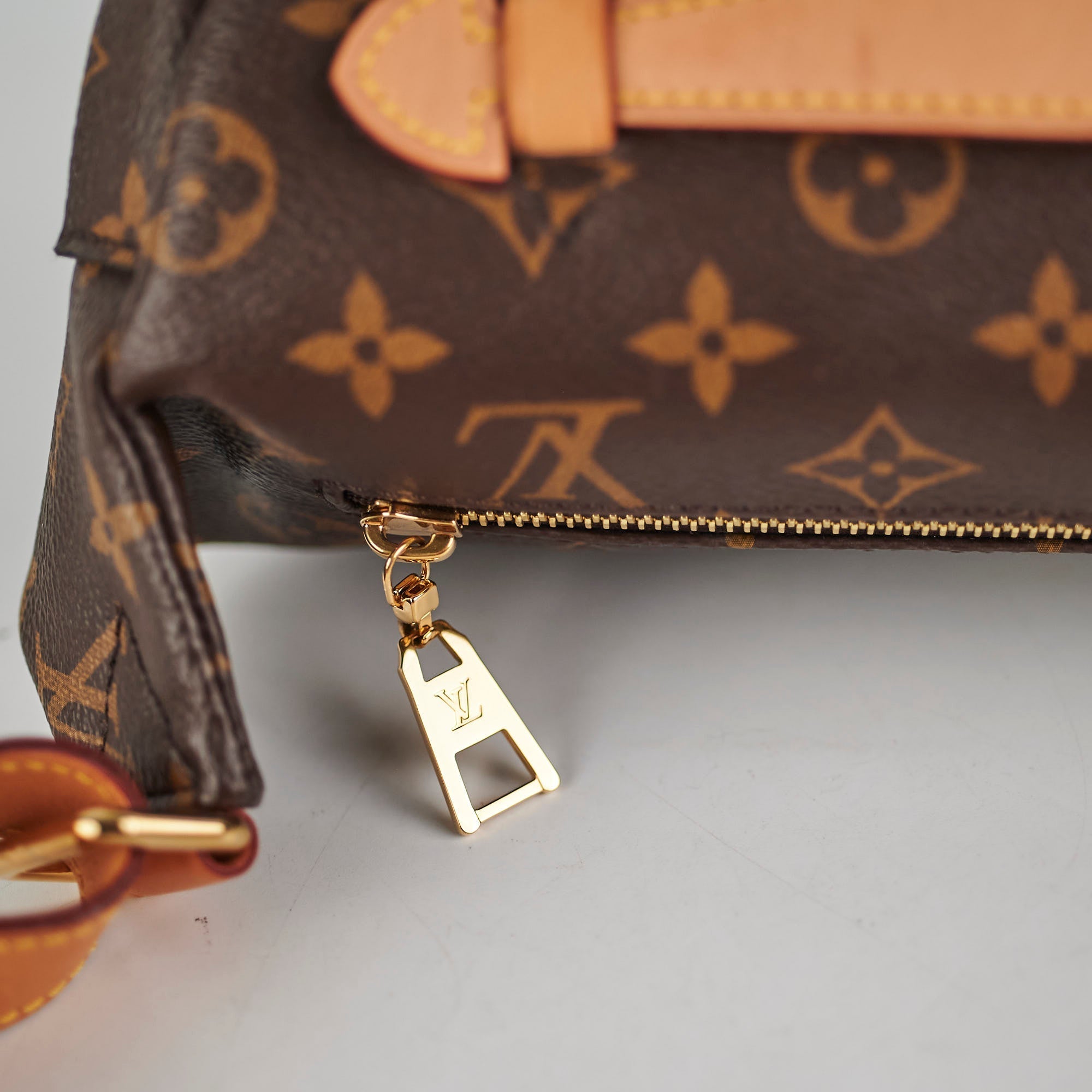 Louis Vuitton Bumbag Monogram