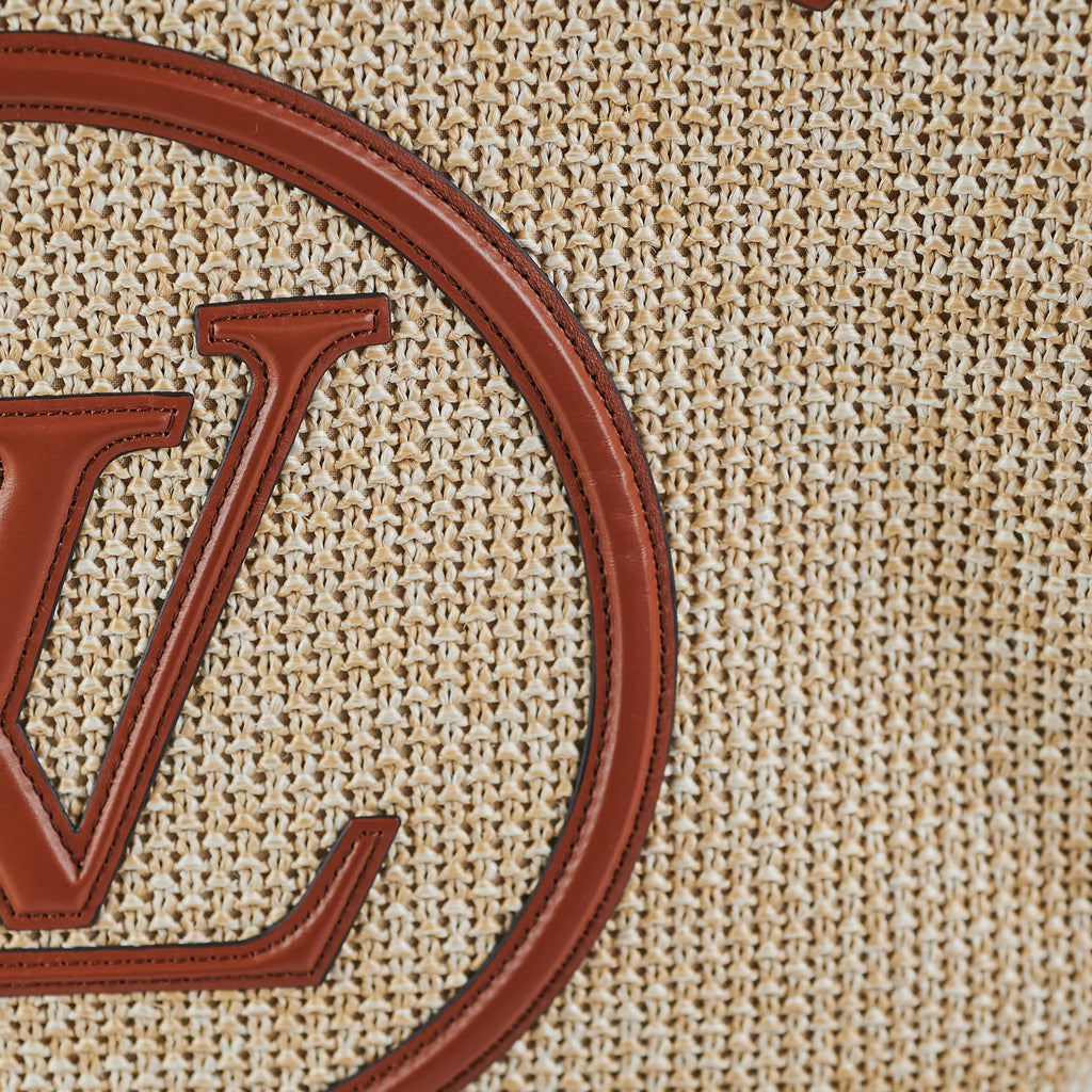 Louis Vuitton Saint Jacques Bag Brown