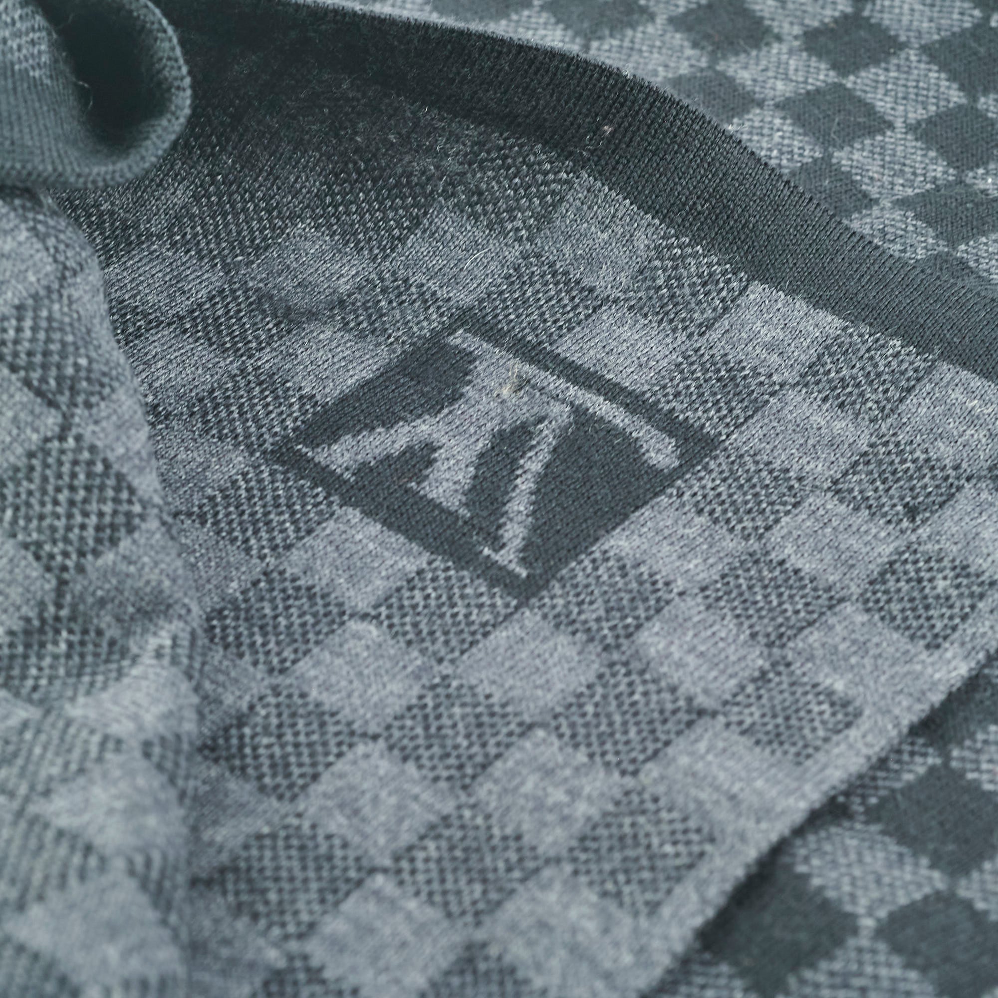 Louis Vuitton N茅o Petit Damier Scarf