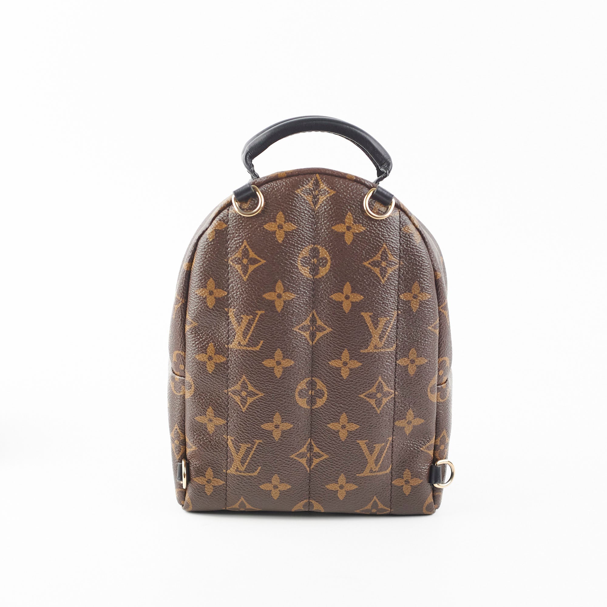 Louis Vuitton Palm Springs Mini Monogram