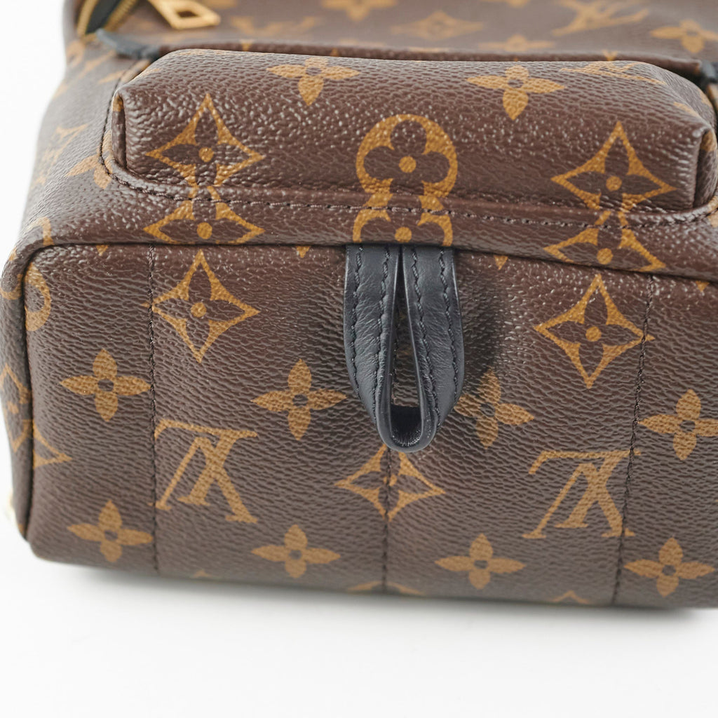 Louis Vuitton Palm Springs Mini Monogram