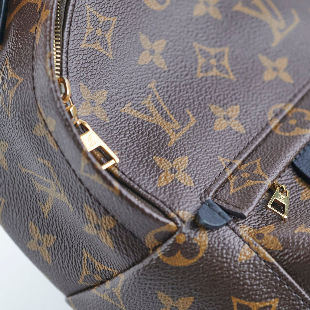Louis Vuitton Palm Springs Mini Monogram
