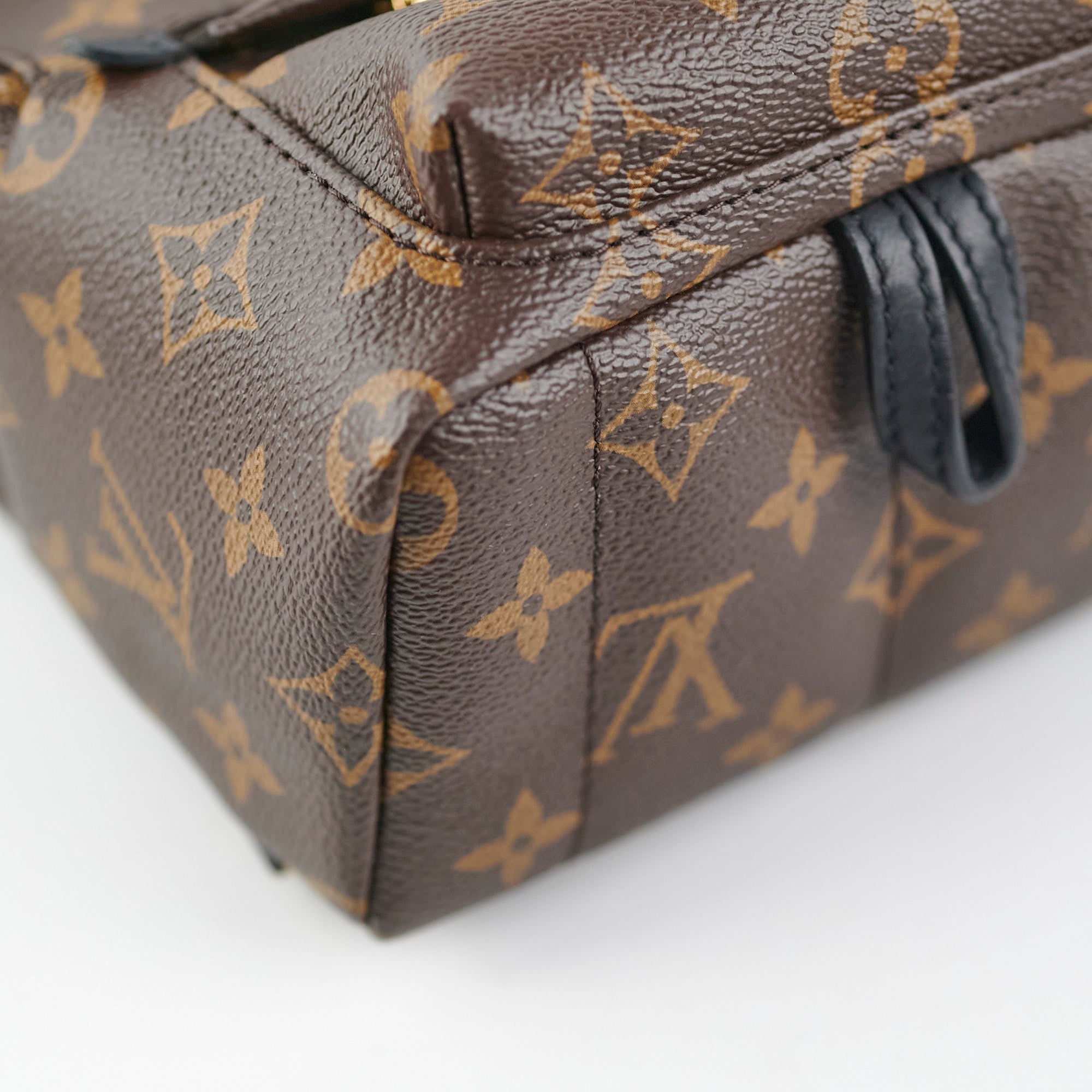 Louis Vuitton Palm Springs Mini Monogram