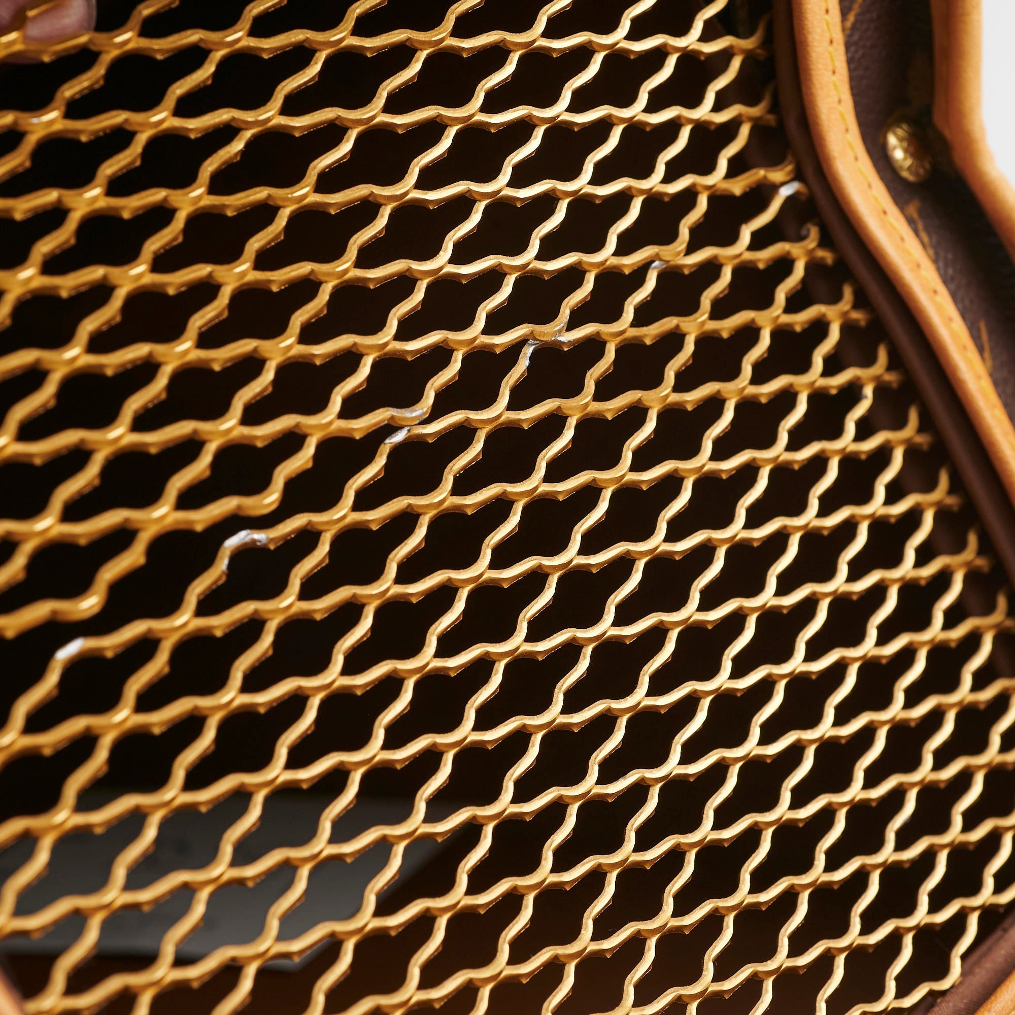 Louis Vuitton Pet Carrier Monogram
