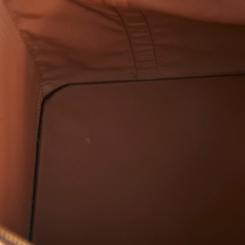 Louis Vuitton Pet Carrier Monogram