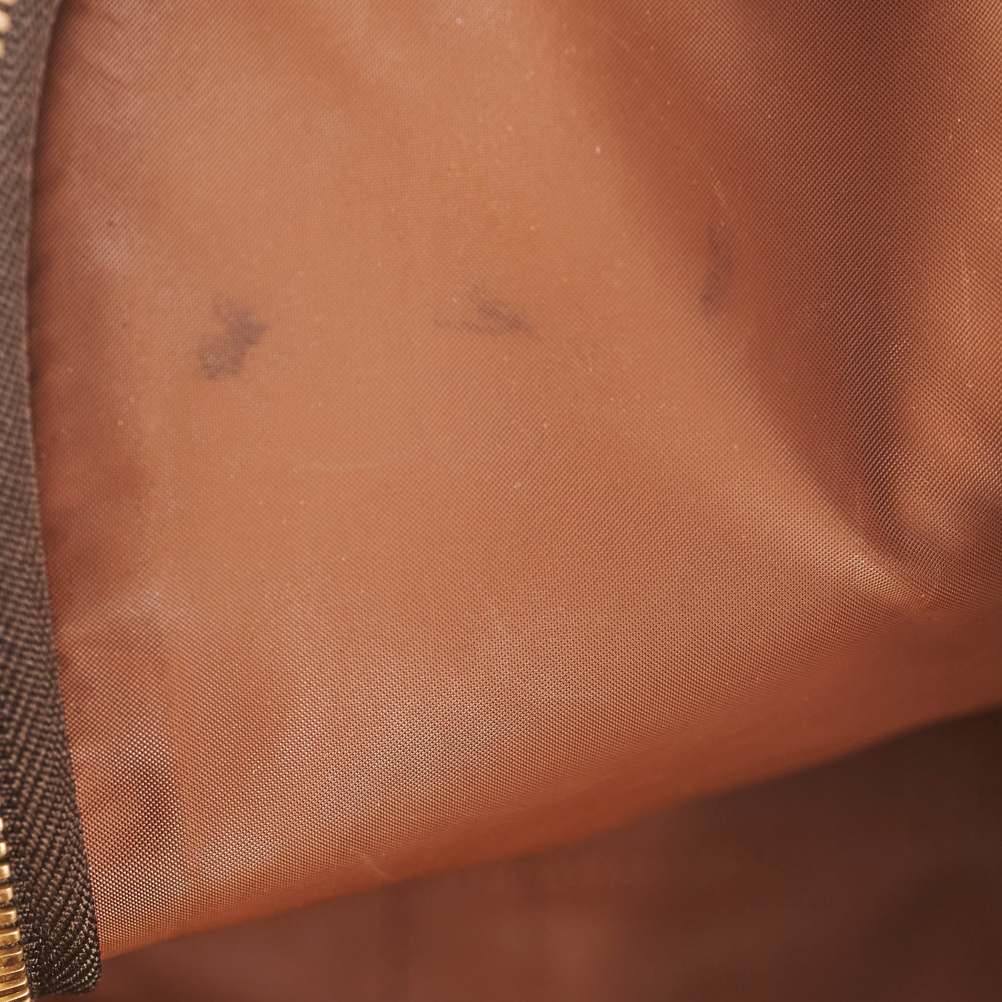 Louis Vuitton Pet Carrier Monogram