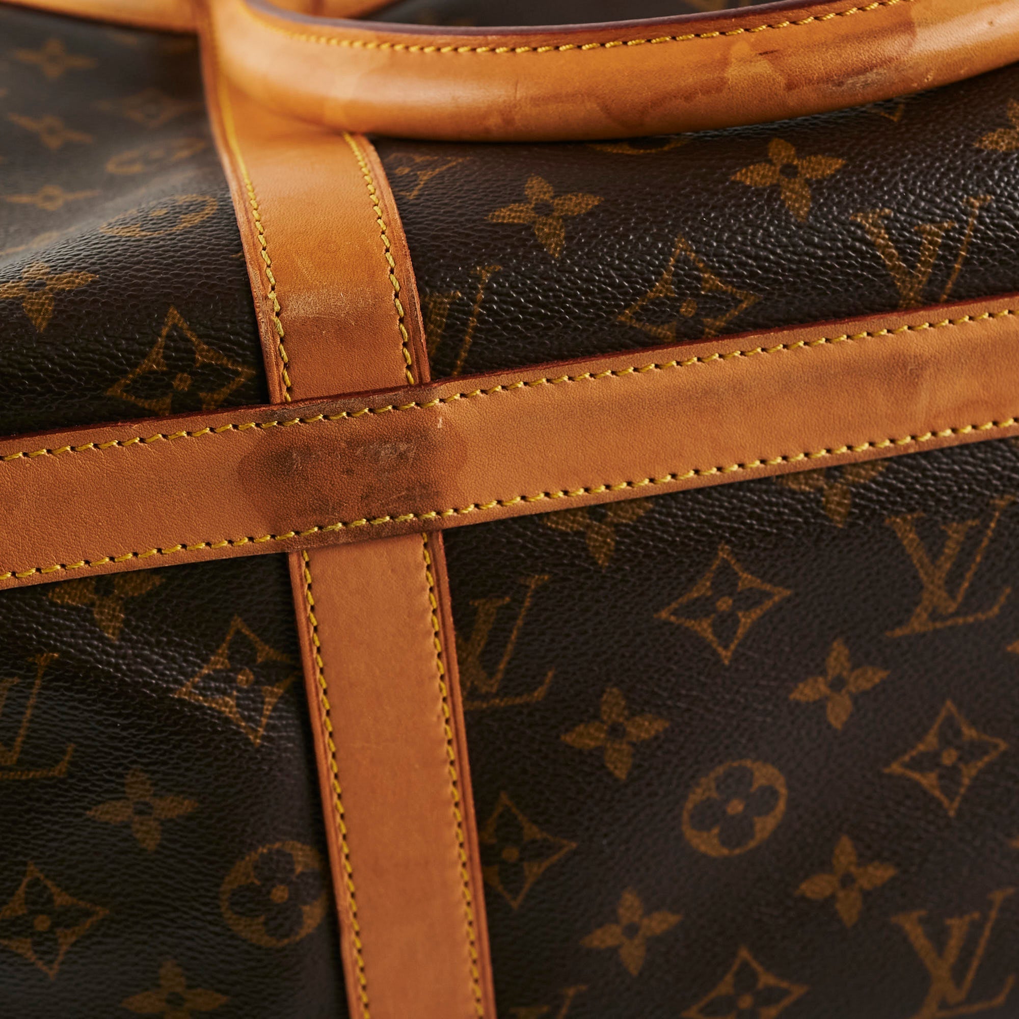 Louis Vuitton Pet Carrier Monogram