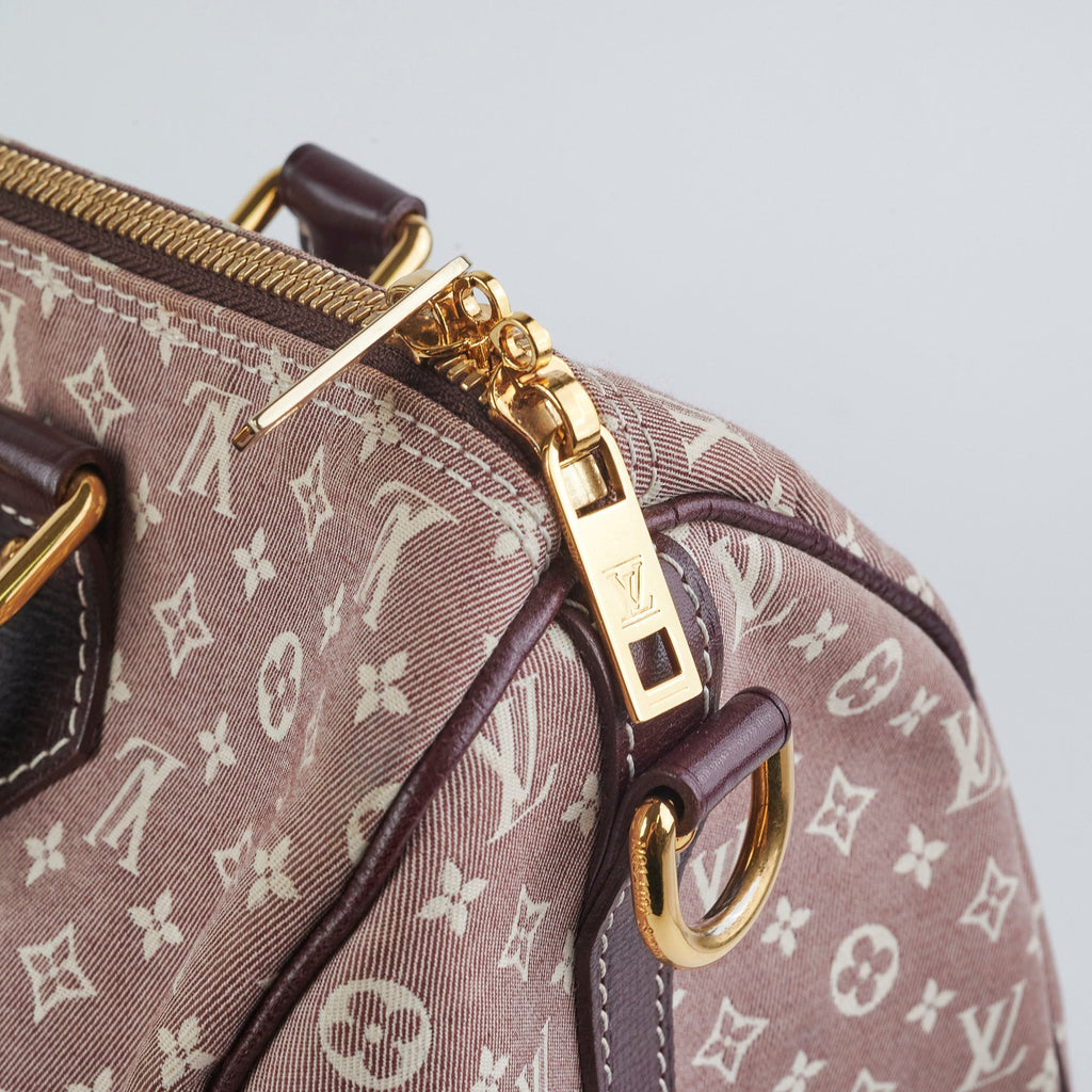 Louis Vuitton Speedy 30 Linen Monogram